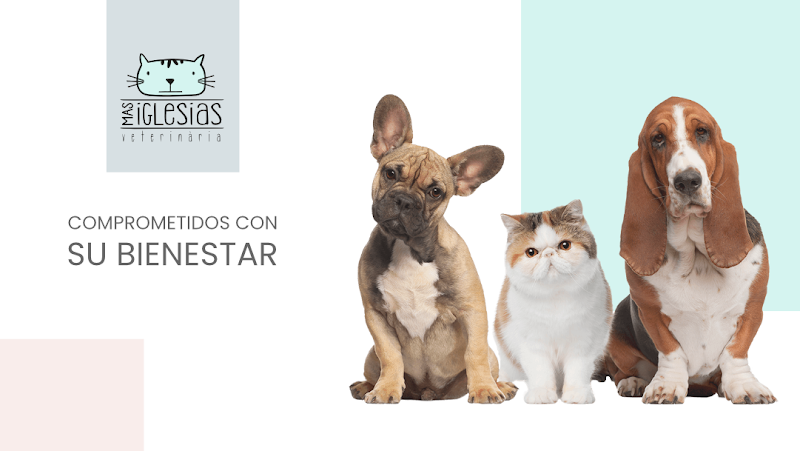 Clínica Veterinaria Mas Iglesias WECAN