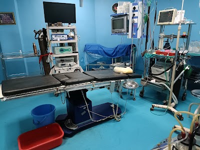 Dr. Saakshi S. Malik- Gynaecologist in panipat - Image 2