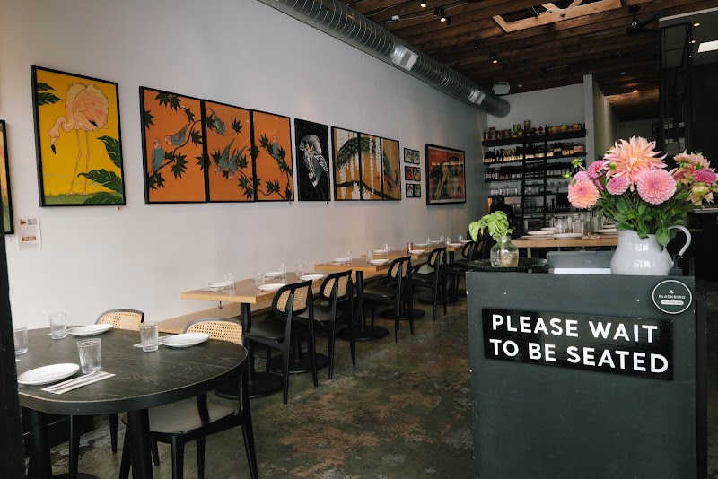 DAMNFiNE pizza photo 6