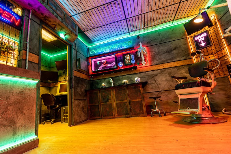 The Immersive Machine — interior