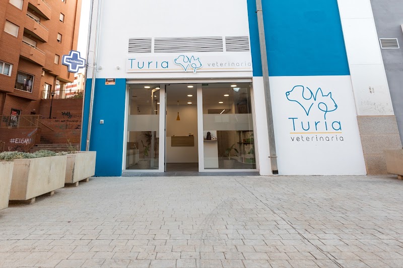 Turia veterinaria