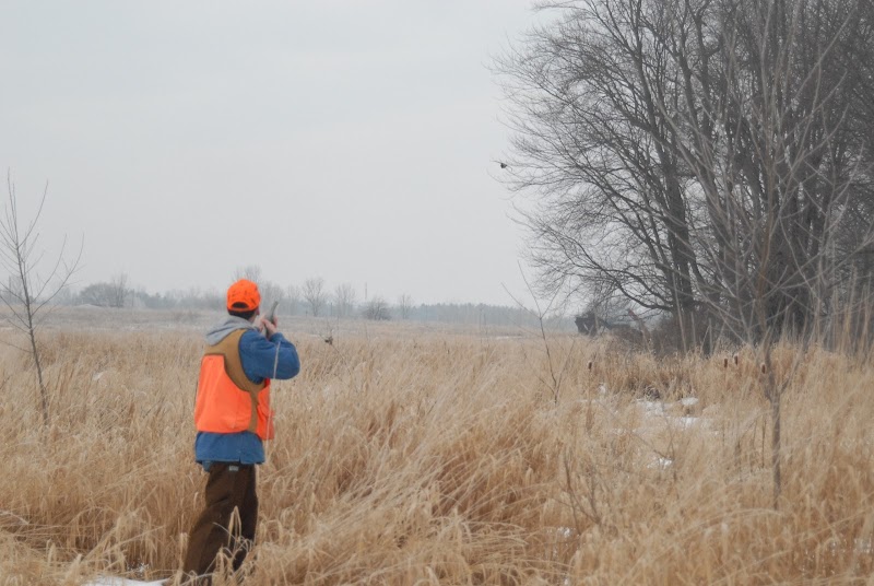 Janks Pheasant Farm - Photo 2