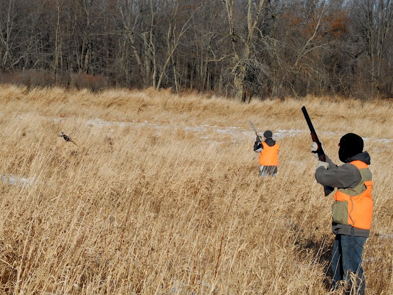 Janks Pheasant Farm - Photo 6