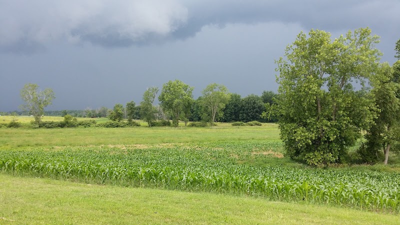 Janks Pheasant Farm - Photo 5