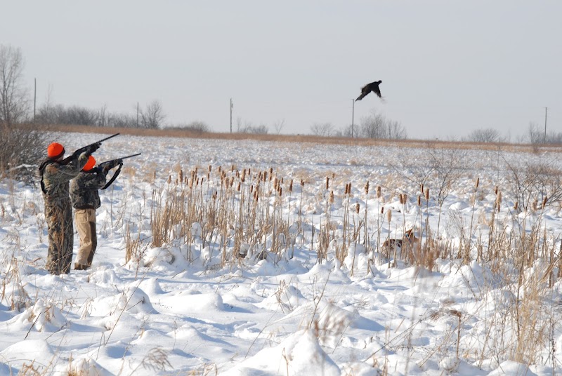 Janks Pheasant Farm - Photo 3