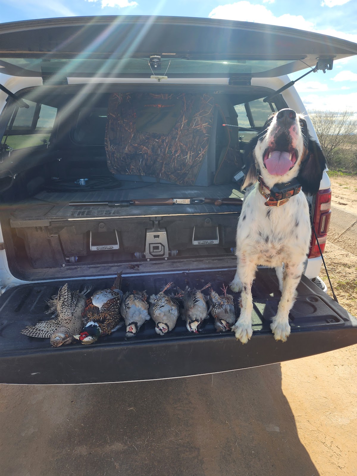 Desert Pheasant Recreation