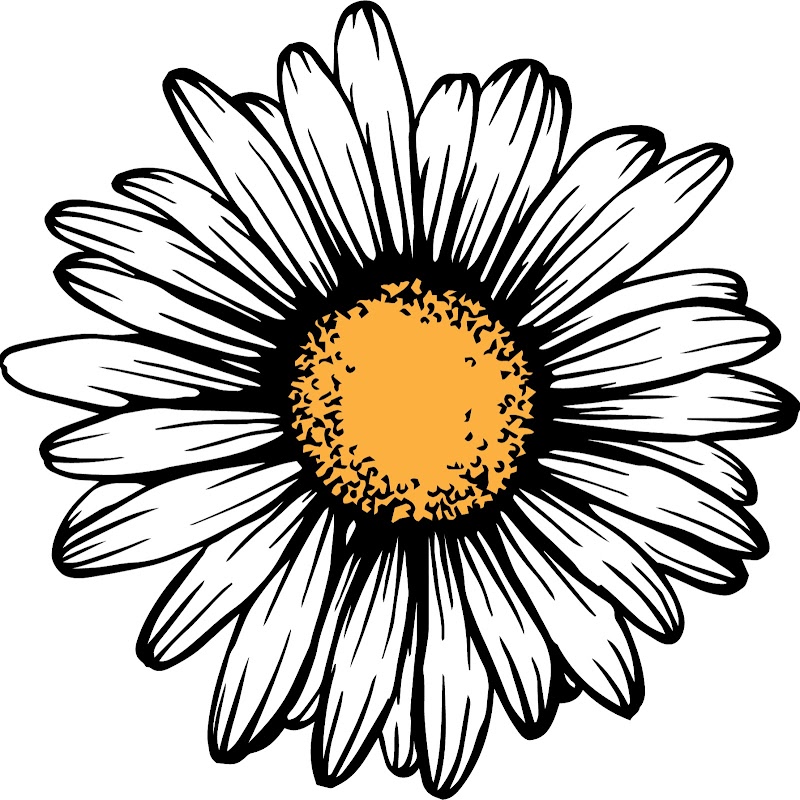 Darlene's Breakfast & Brunch photo 4