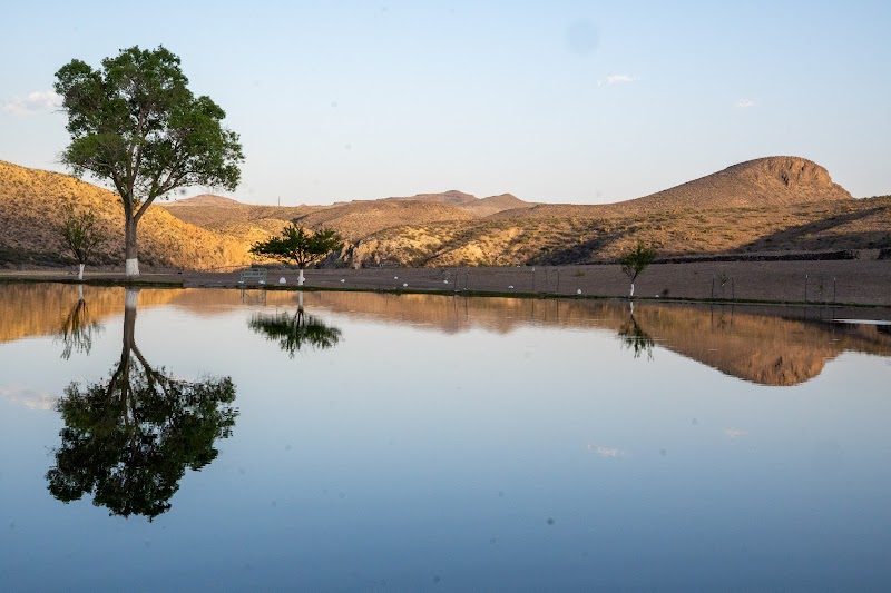 Cibolo Creek Ranch - Photo 4
