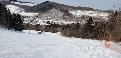 Minamigaoka Ski Area - 2