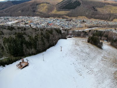 Minamigaoka Ski Area - 4