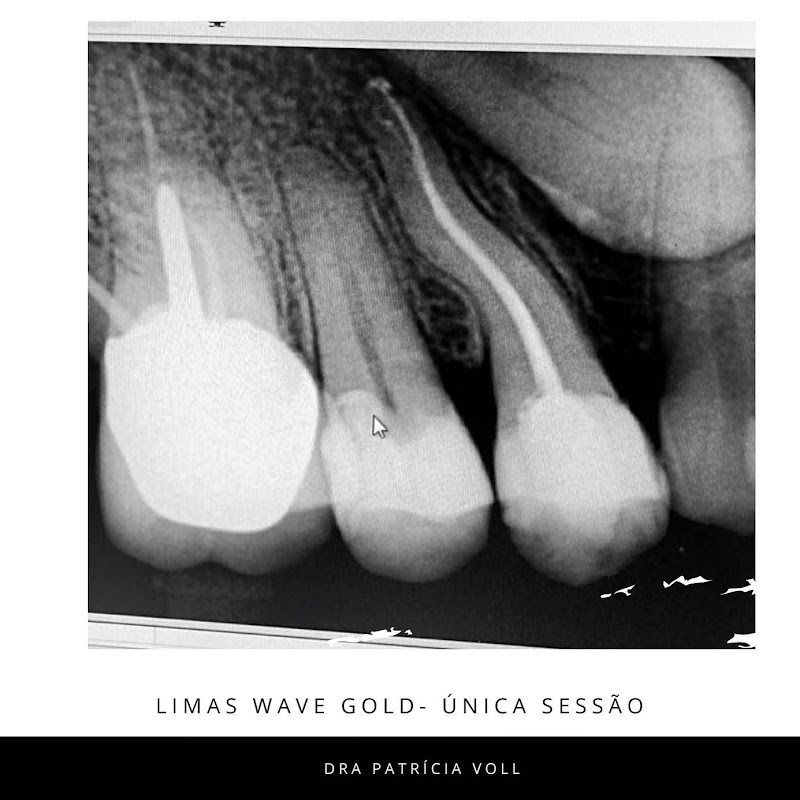 Endodontista - Dra. Patrícia - foto 4
