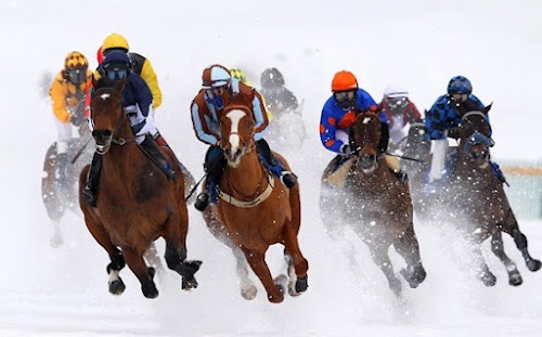 White Turf St. Moritz