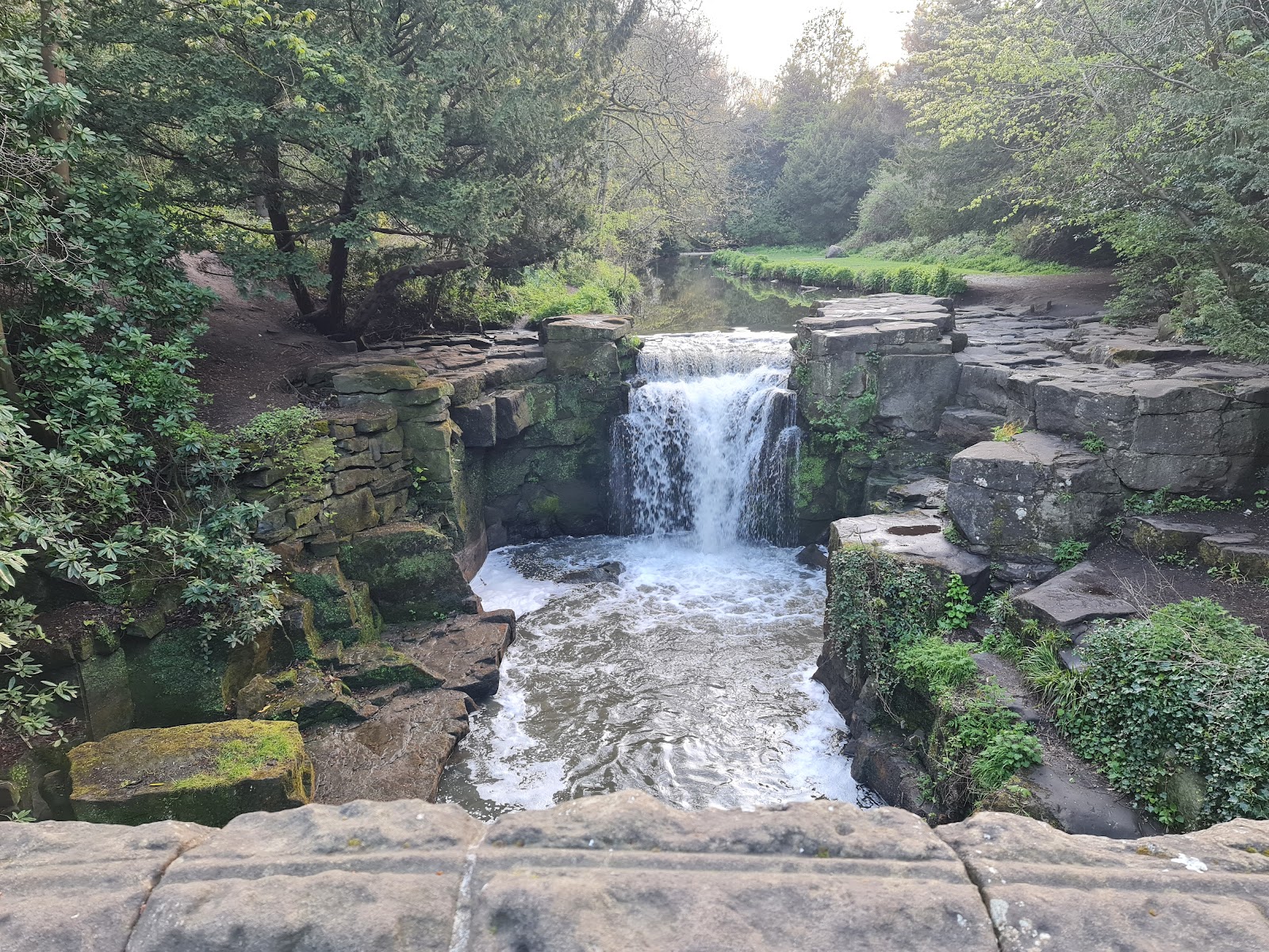 Best Outdoor Spaces and Nature Walks in Newcastle