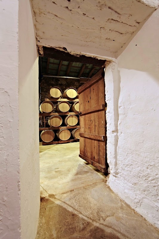 Bodega Ribas