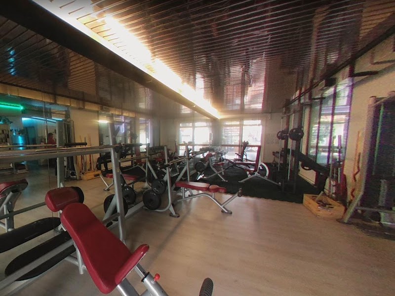 A.S.D. Revolution Sports
