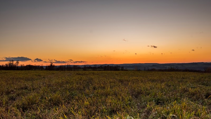 The Preserve - Photo 4