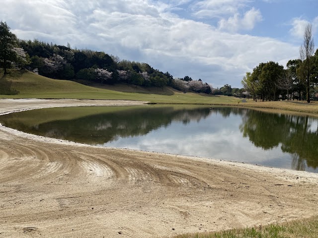 Aqua Line Golf Club - Photo 4