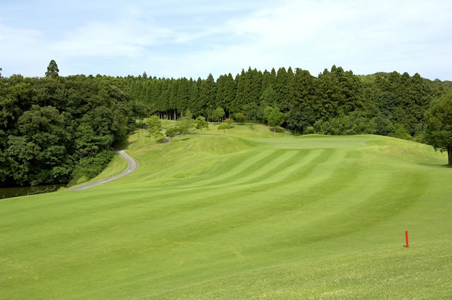 Aqua Line Golf Club - Photo 1