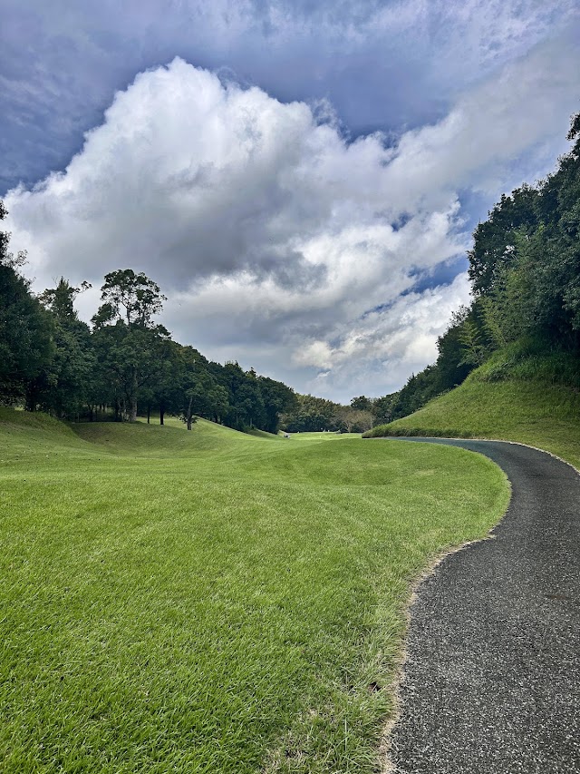 Aqua Line Golf Club - Photo 2