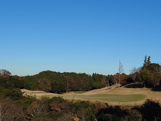 Aqua Line Golf Club - Photo 6