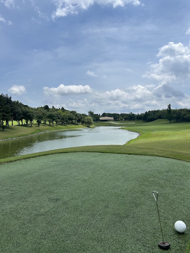 Aqua Line Golf Club - Photo 3