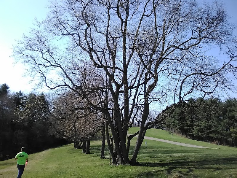 Economy Park Disc Golf Course photo 4
