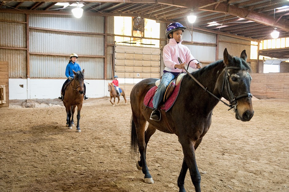 Wheaton Park Stables, Inc.