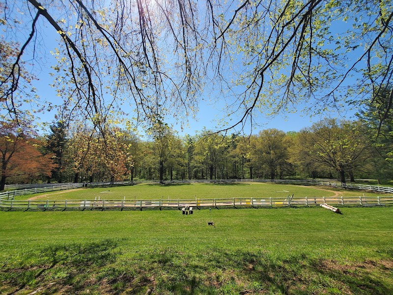 Wheaton Park Stables, Inc. - Photo 4