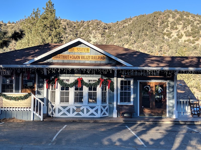 The Wine Cellar photo 1