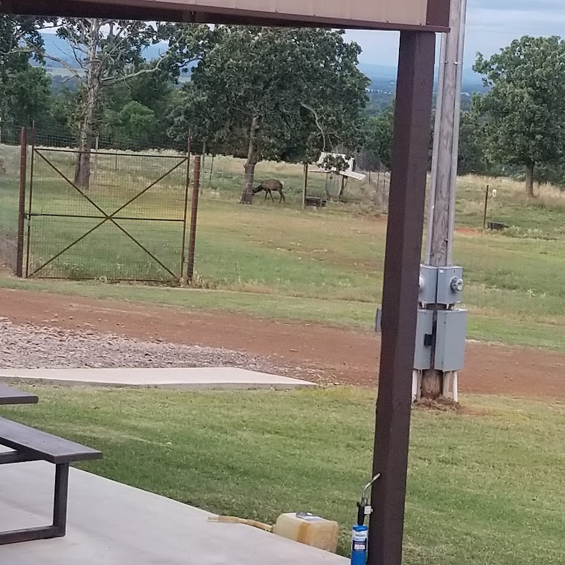 Bow tie hunting ranch - Photo 6