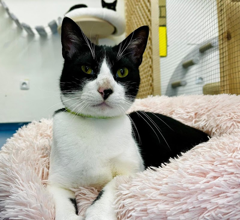 Centro Veterinario Los Campos