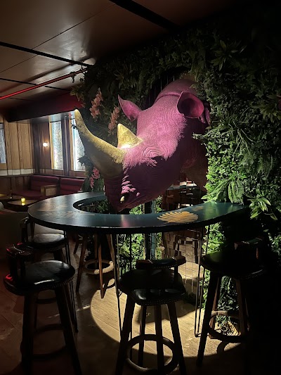 Ra-Ra Rhino photo 3