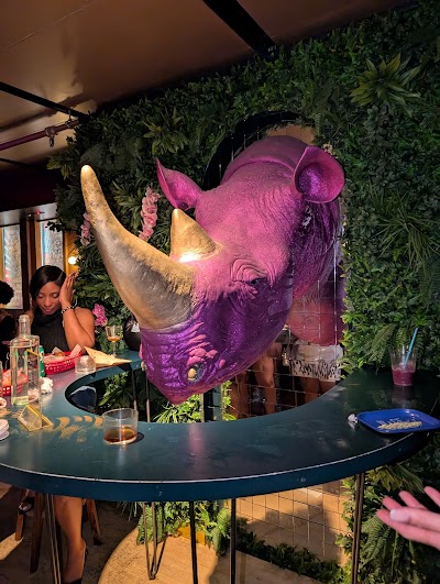Ra-Ra Rhino photo 3
