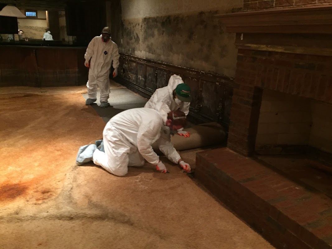 Mold Removal Indianapolis — photo