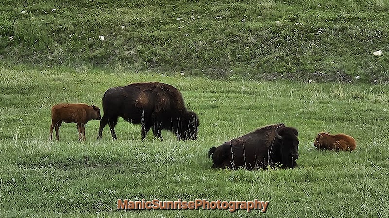 Game Lodge Campground - Photo 3