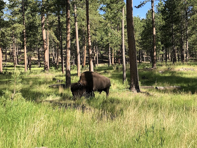 Game Lodge Campground - Photo 5