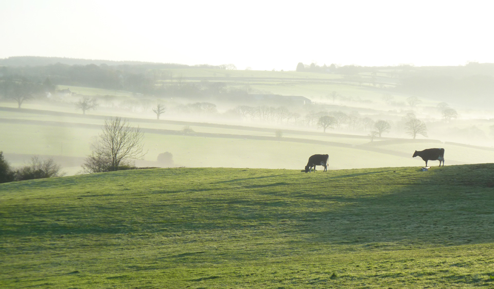 War Horse Valley Country Farm Park