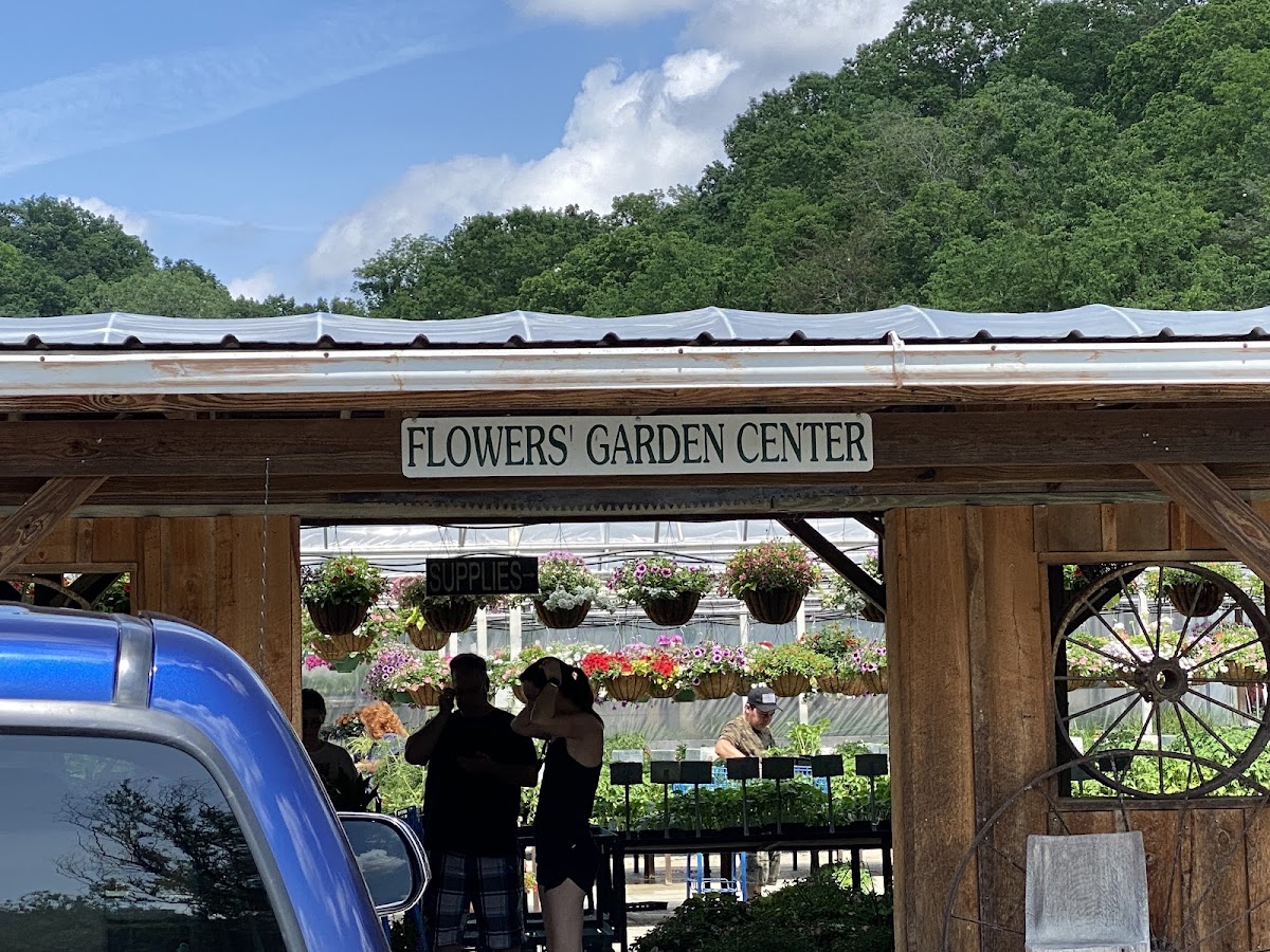 Flowers' Farms: Google Places image 1