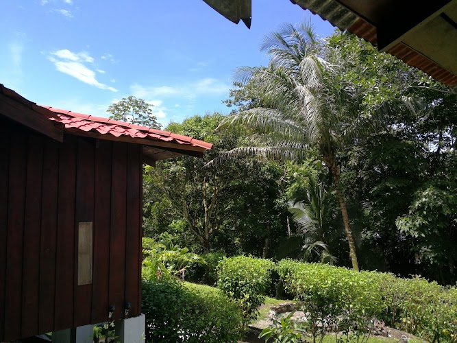 Manuel Antonio Hostel Resort