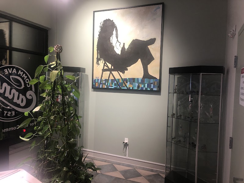 Video tour of Comm Ave Canna: Recreational Cannabis Dispensary, Boston - Brookline MA retail environment