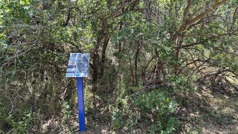 Tetons Disc Golf Course photo 5