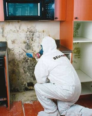 BELFOR Property Restoration — photo