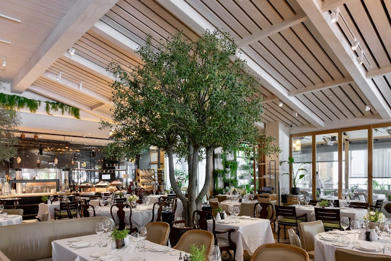 Novikov Beverly Hills