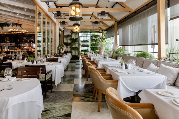 Novikov Beverly Hills