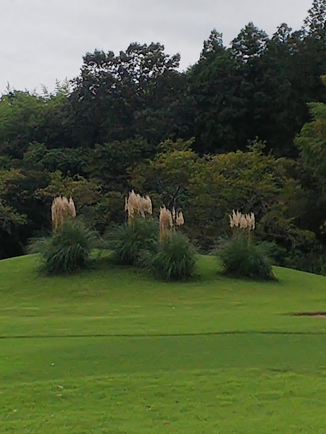 Aoyamadai Golf Club - Photo 10