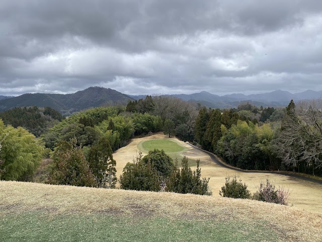 Aoyamadai Golf Club - Photo 5