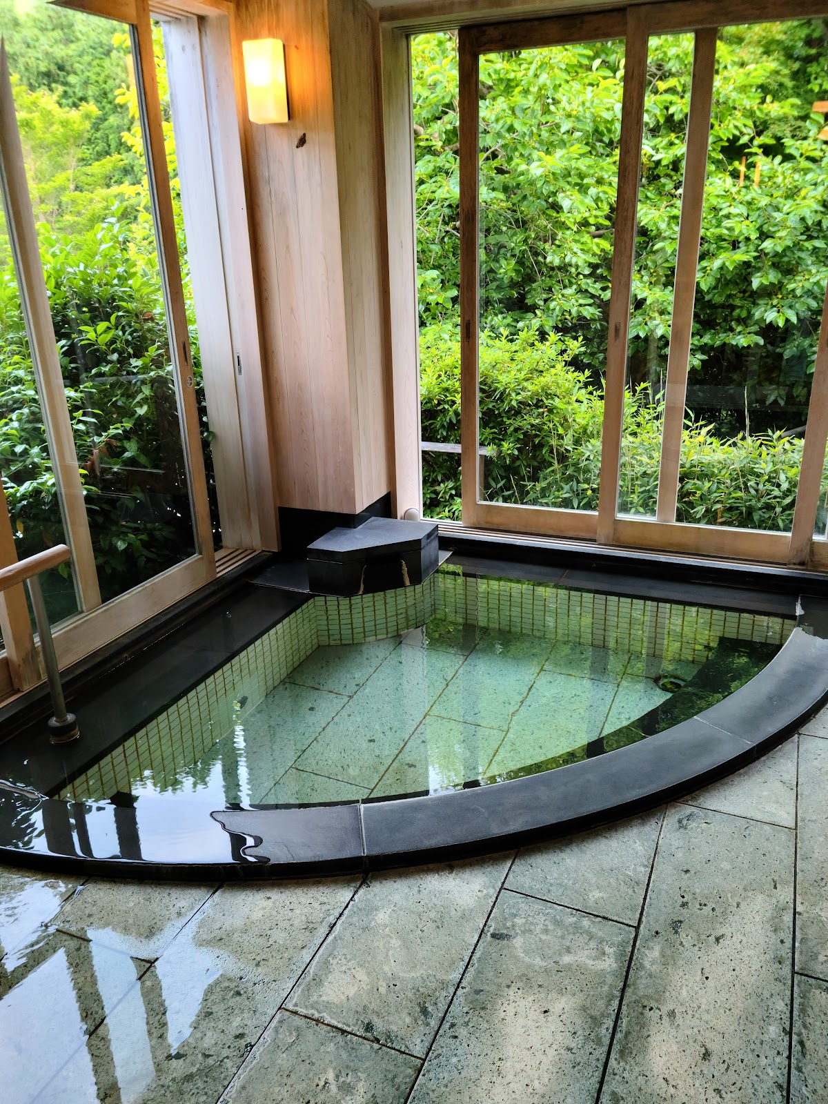 Yugawara Onsen Sekitei - ryokan in Yugawara, Kanagawa (3)