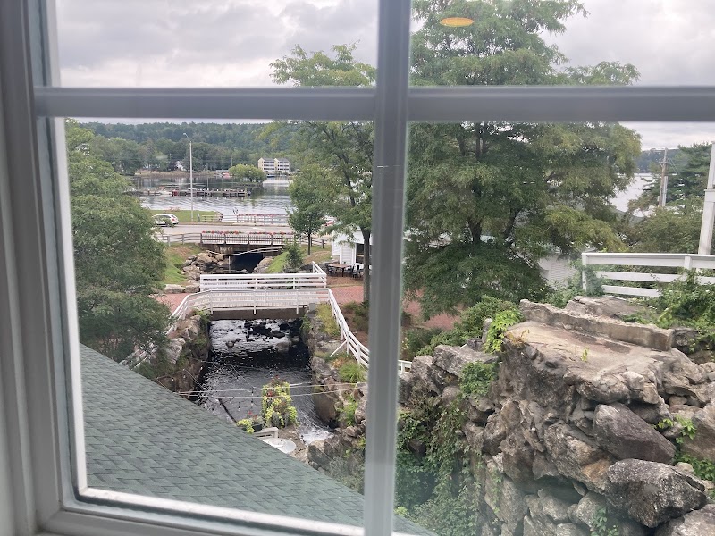 Blissful Cafe & Bakery photo 3