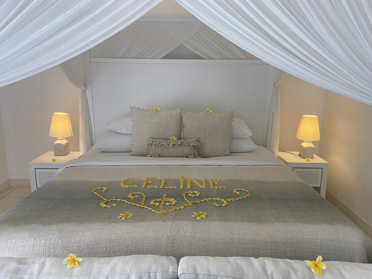 The Palm Tree House — 3