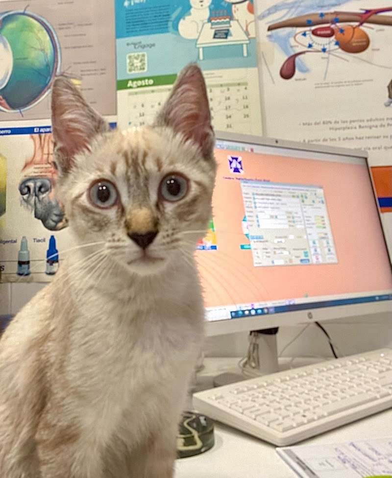 Cruz Azul Centro Veterinario